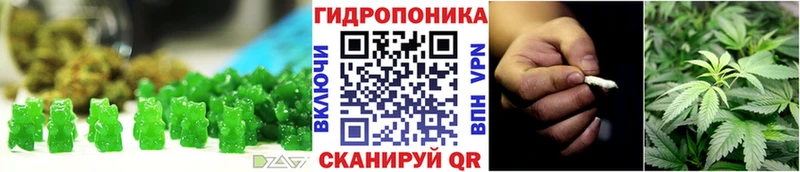 Cannafood марихуана  цены наркотик  Новодвинск 