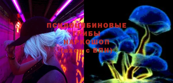 не бодяженный Арсеньев
