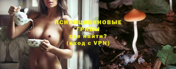 MESCALINE Аркадак
