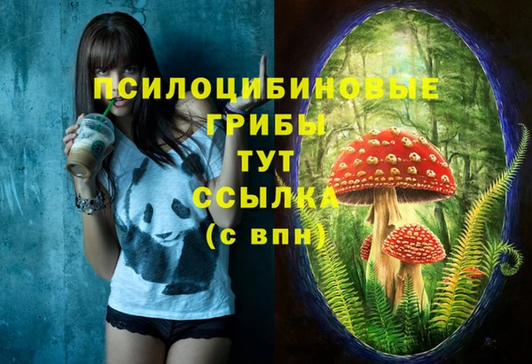mix Армянск