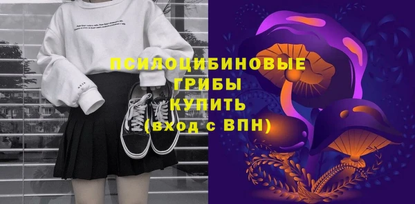 MESCALINE Аркадак