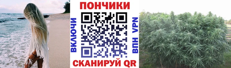 МАРИХУАНА THC 21%  Новодвинск 